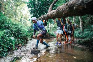 BIB: 
                            <button type="button" onclick="openModal(25369707)" class="btn btn-primary btn-sm float-right btn-popup" data-toggle="modal" data-target=".modal-high-quality">
                        <i class="fas fa-shopping-cart"></i> Add to Cart
                    </button>
                                            <button type="button" onclick="isThisMe(25369707, true)" class="btn btn-success btn-sm float-right btn-popup btn-isme hidden" data-toggle="tooltip" data-placement="bottom" title="นี่คือรูปของคุณใช่ไหม คลิกที่นี่เพื่อเอาเข้าอัลบั้ม">
                        <i class="fas fa-plus"></i> Add to album
                    </button>
                    <button type="button" onclick="isThisMe(25369707, false)" class="btn btn-warning btn-sm float-right btn-popup btn-isnotme hidden">
                        <i class="fas fa-ban"></i> Remove from album
                    </button>